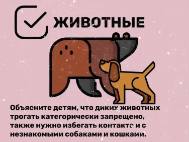 Научим детей безопасности