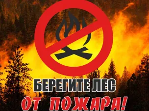 ПРАВИЛА ПОВЕДЕНИЯ В ЛЕСУ ПО НЕДОПУЩЕНИЮ ПОЖАРА