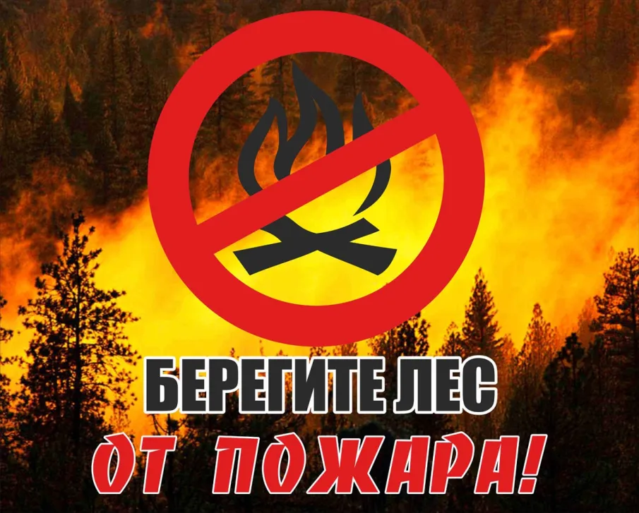 ПРАВИЛА ПОВЕДЕНИЯ В ЛЕСУ ПО НЕДОПУЩЕНИЮ ПОЖАРА