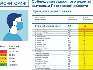 Итоги мониторинга масочного режима на Дону за 1-2 июня