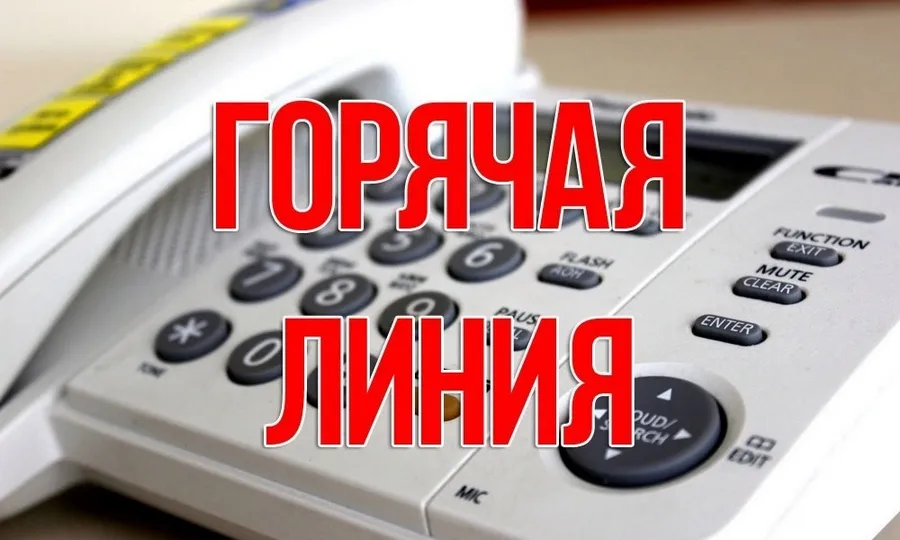 «Горячая линия» с начальником управления образования Красносулинского района Дреминой М.П.