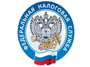 Сведения о статистической налоговой отчетности