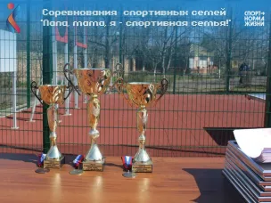 Соревнования спортивных семей «Папа, мама, я - спортивная семья!»