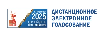 Проголосовать на выборах, не выходя из дома или офиса