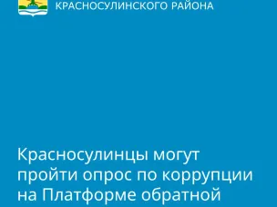 Коррупция – это бич современного общества, который можно обуздать только сообща