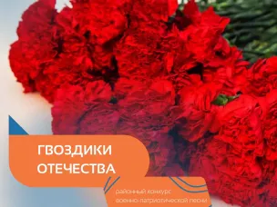 ГВОЗДИКИ ОТЕЧЕСТВА