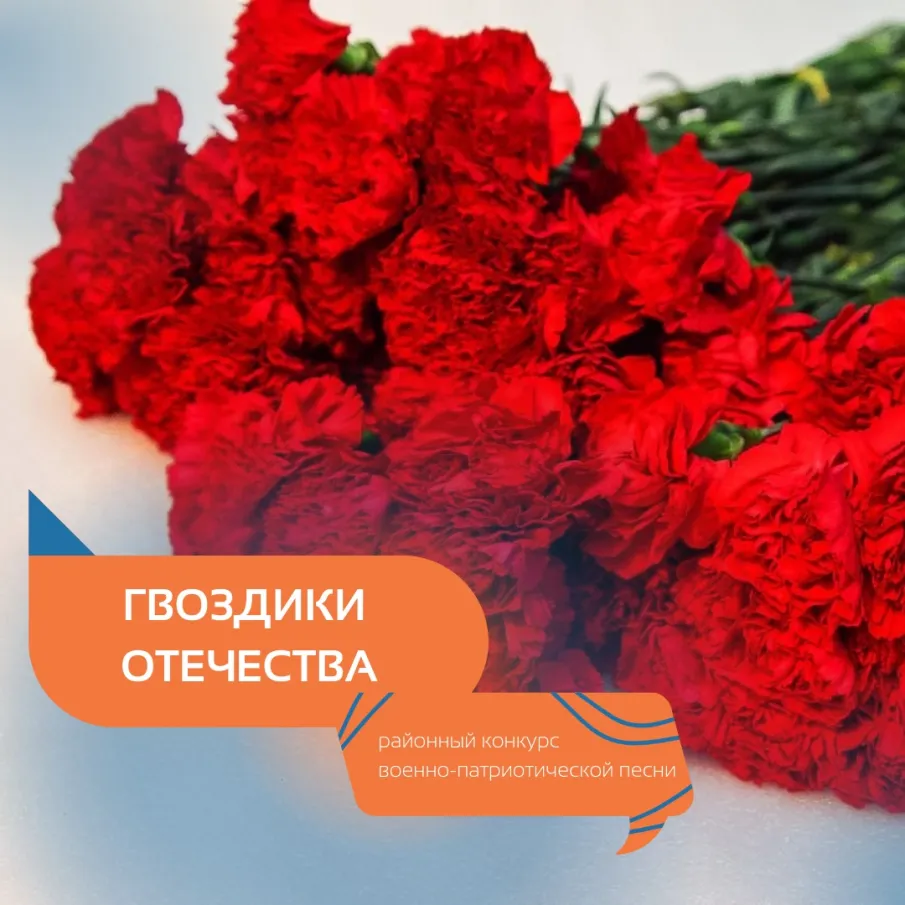ГВОЗДИКИ ОТЕЧЕСТВА