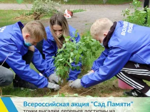 #СадПамяти