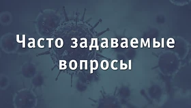 Часто задаваемые вопросы о поддержке предпринимателей в условиях распространения коронавируса